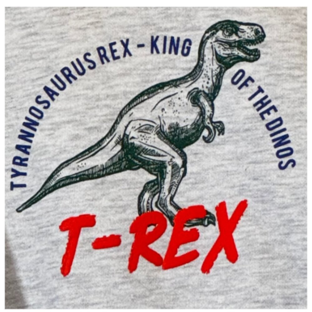 Boy's Sweatshirts Set of 3 Size 2-3Y - Picture 8 of 13